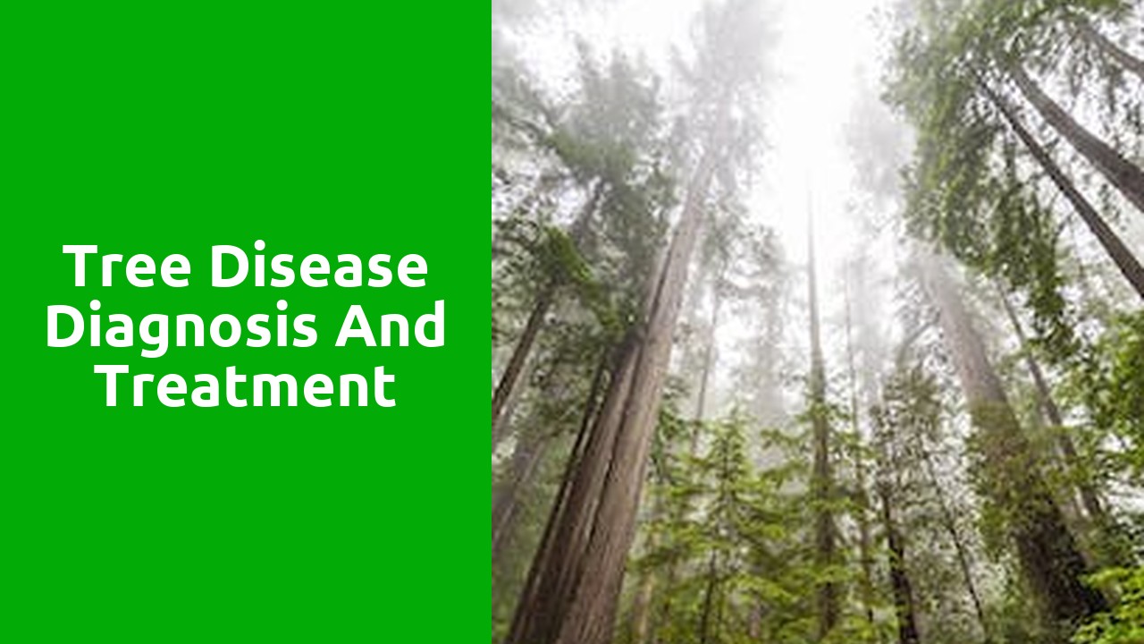 Tree Disease Diagnosis and Treatment